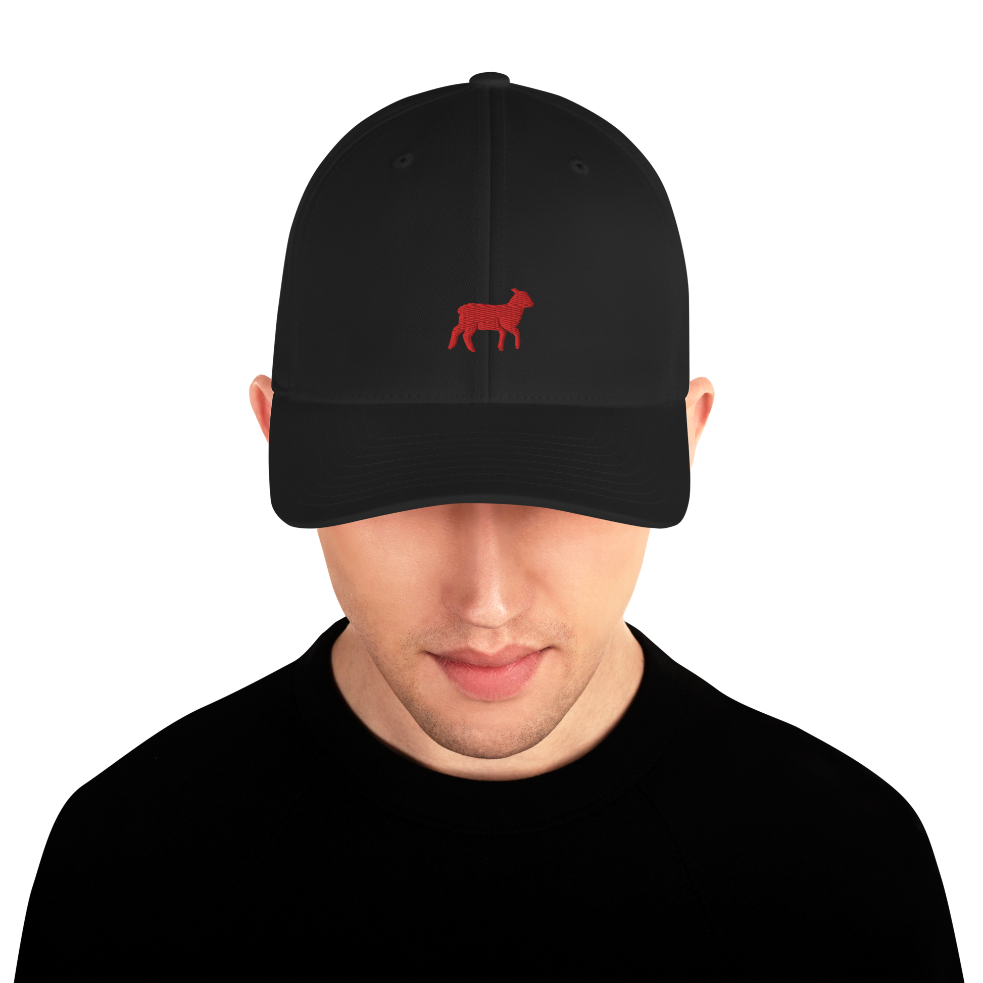 Lamb Structured Twill Cap (ALL COLORS) - Lamb Fashion Store