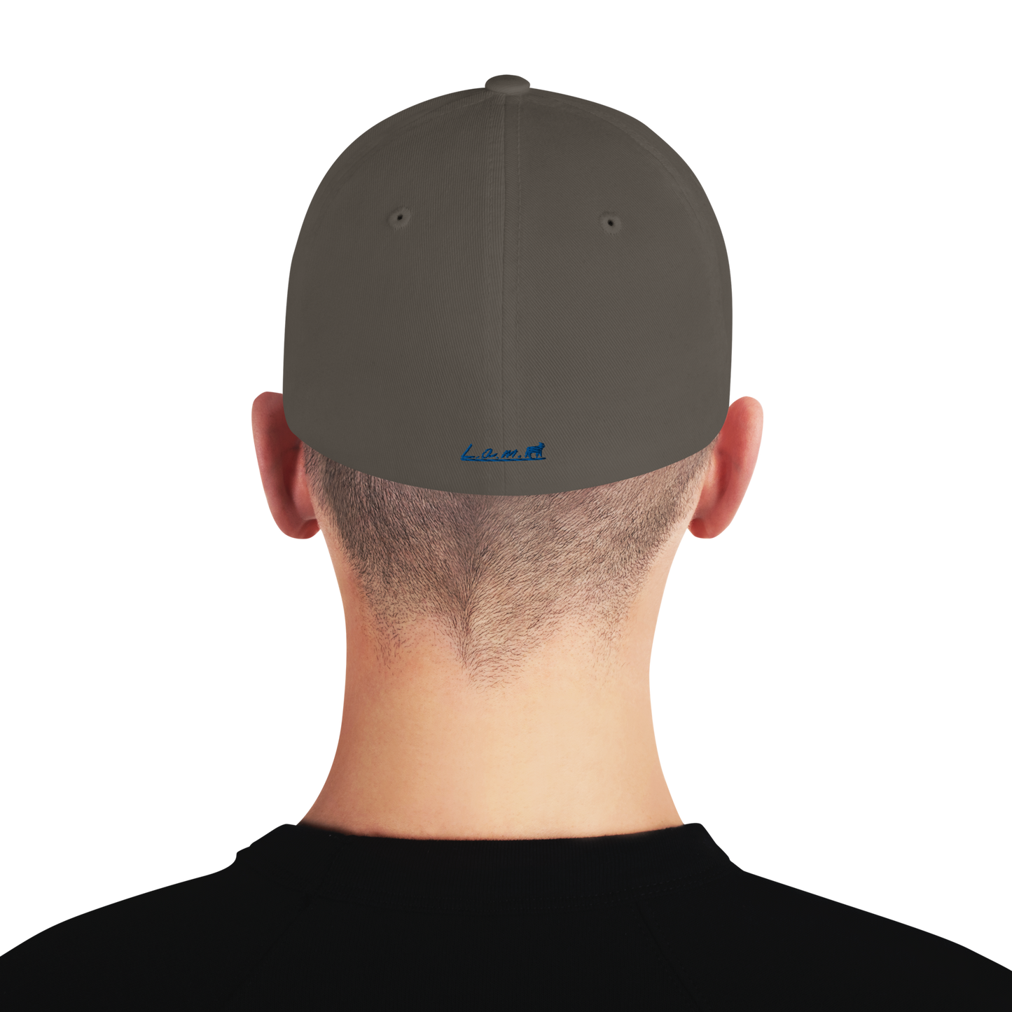 Lamb Structured Twill Cap (ALL COLORS) - Lamb Fashion Store