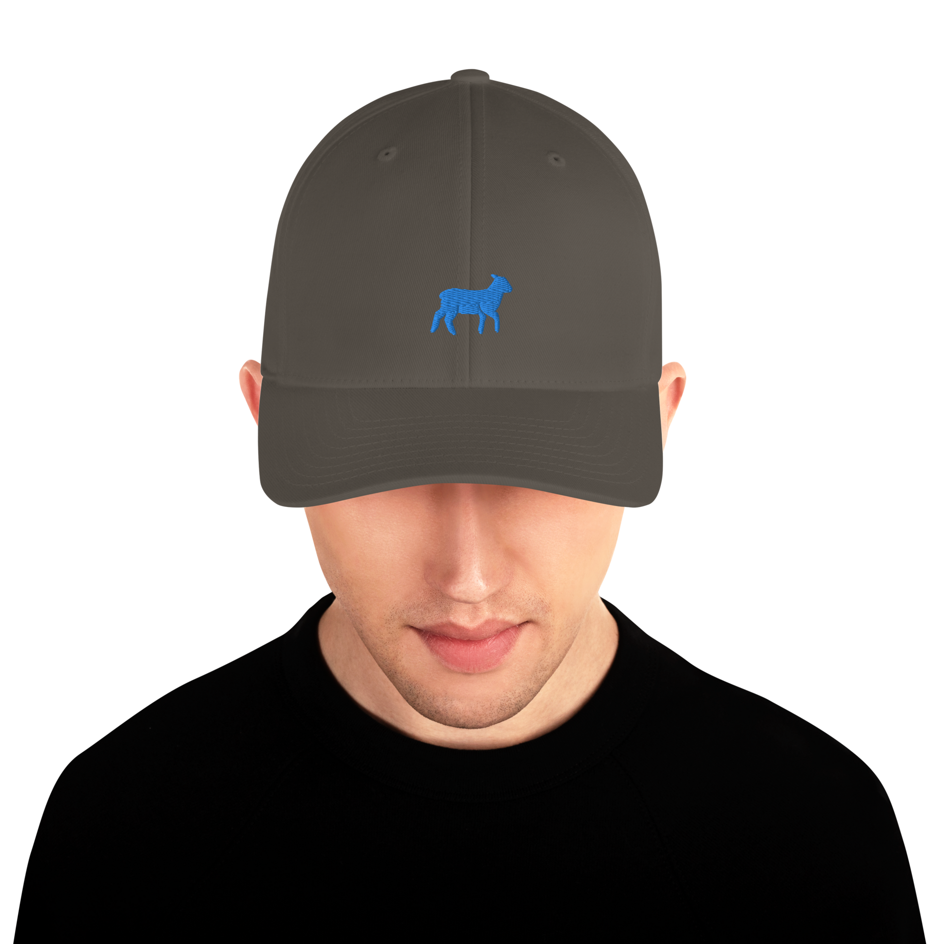 Lamb Structured Twill Cap (ALL COLORS) - Lamb Fashion Store