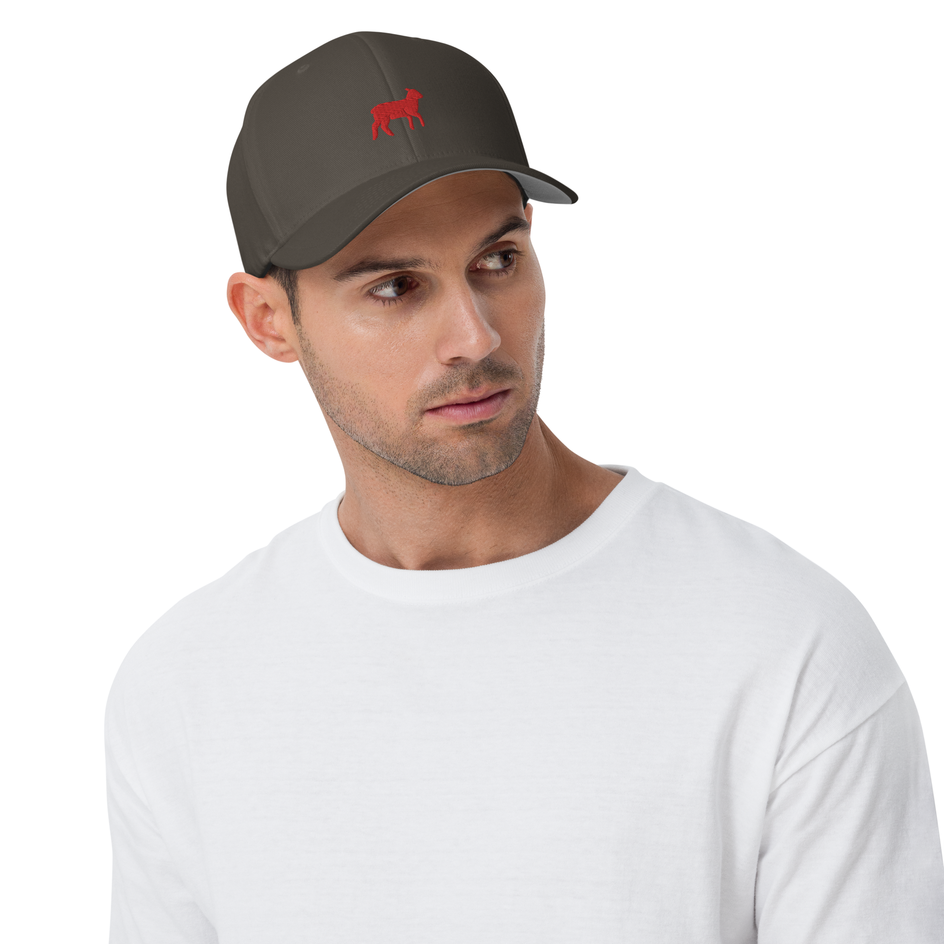 Lamb Structured Twill Cap (ALL COLORS) - Lamb Fashion Store