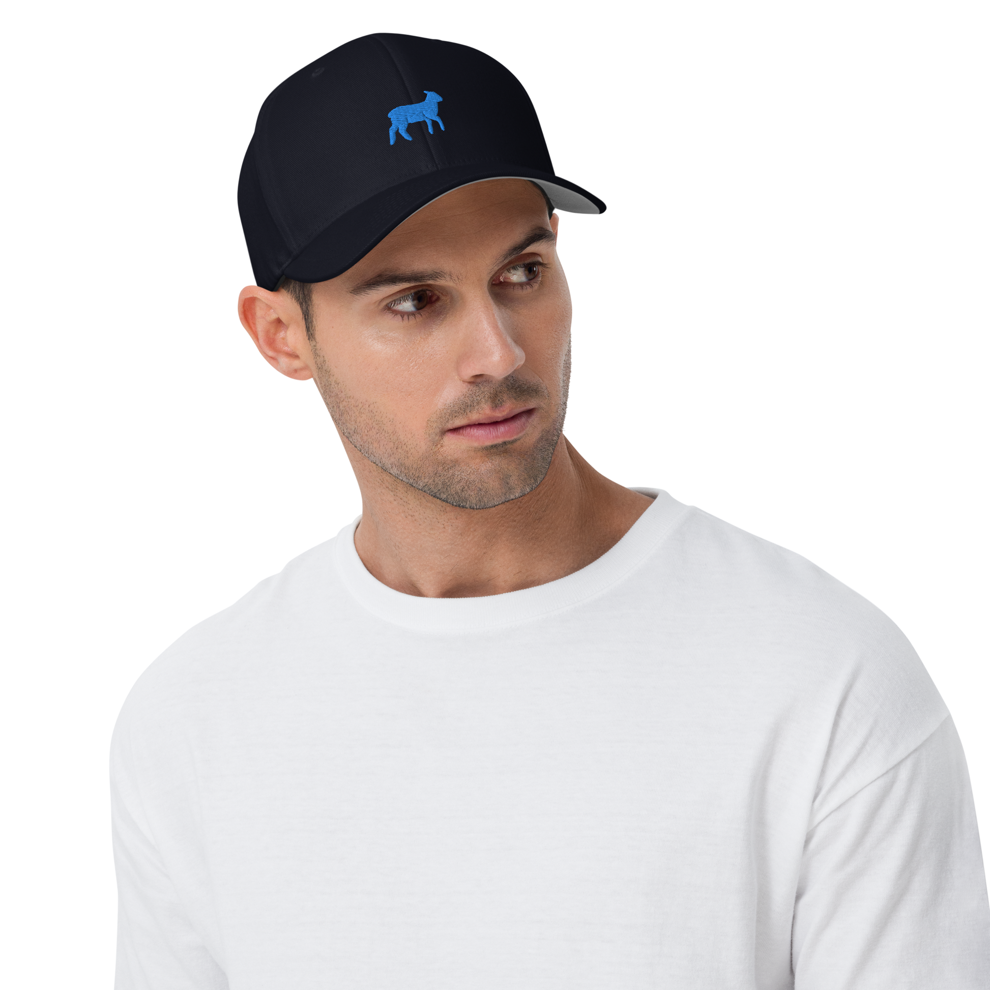 Lamb Structured Twill Cap (ALL COLORS) - Lamb Fashion Store