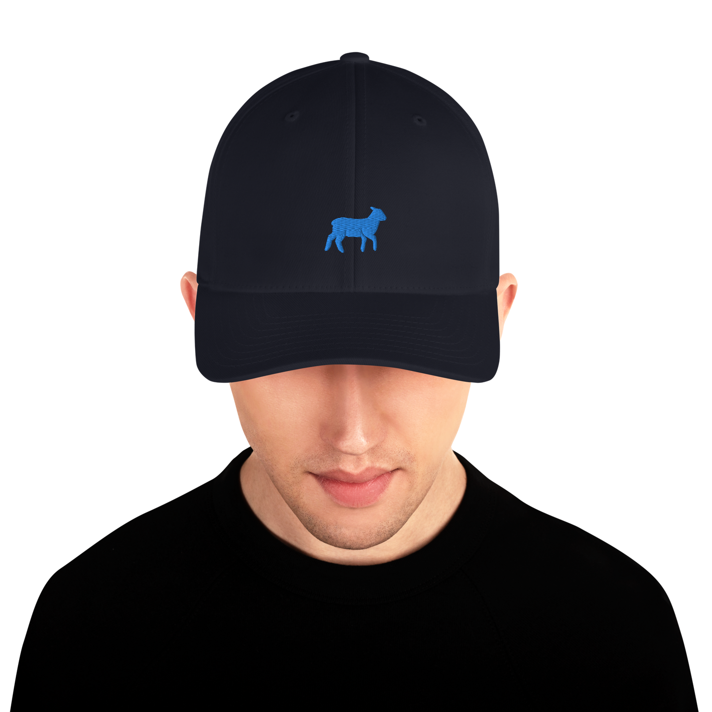 Lamb Structured Twill Cap (ALL COLORS) - Lamb Fashion Store