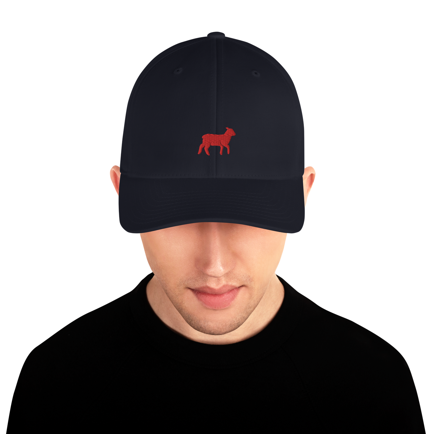 Lamb Structured Twill Cap (ALL COLORS) - Lamb Fashion Store