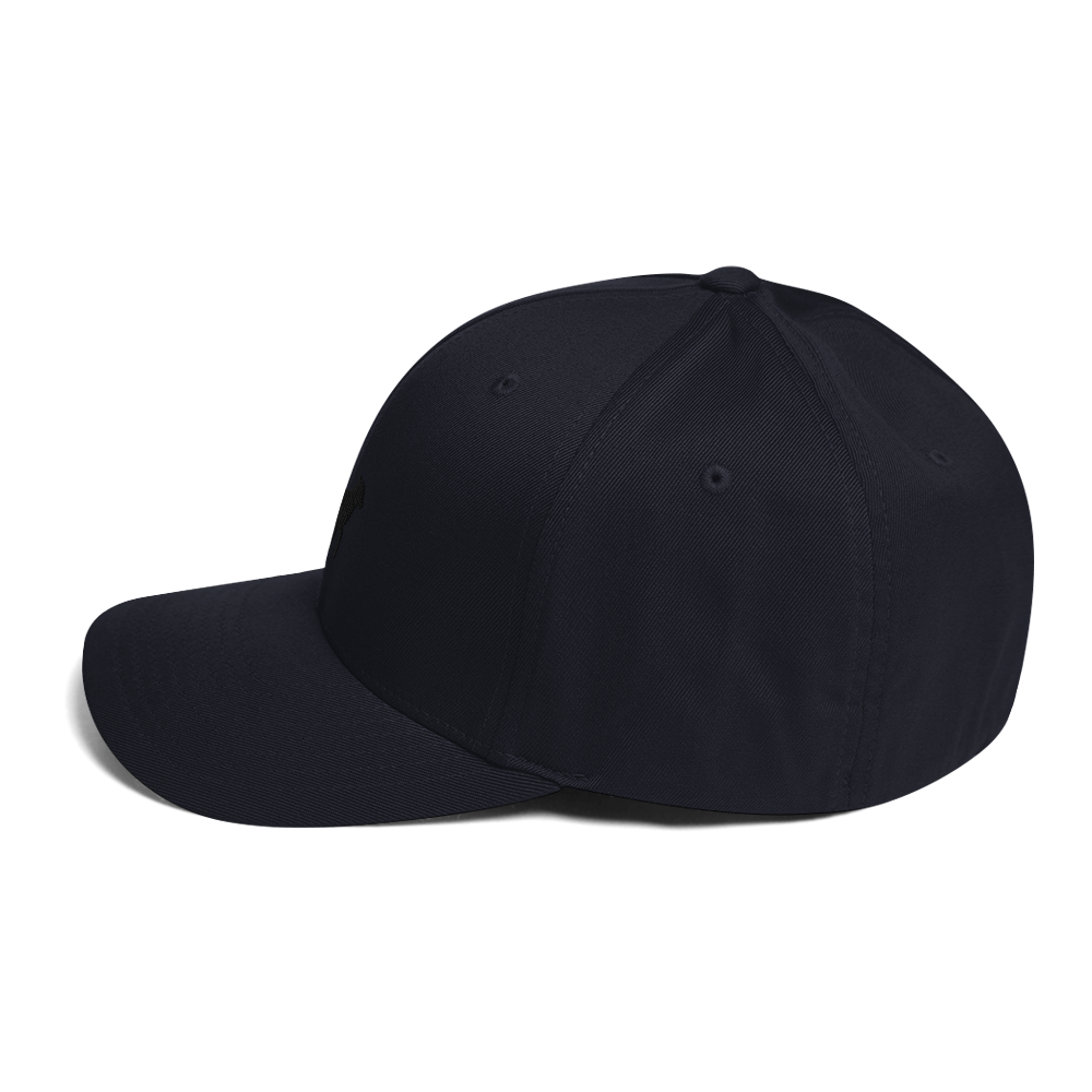 Lamb Structured Twill Cap (ALL COLORS) - Lamb Fashion Store