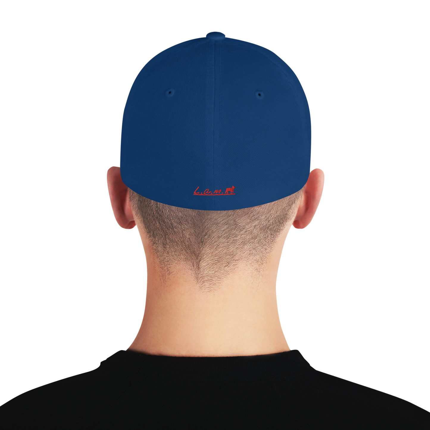 Lamb Structured Twill Cap (ALL COLORS) - Lamb Fashion Store