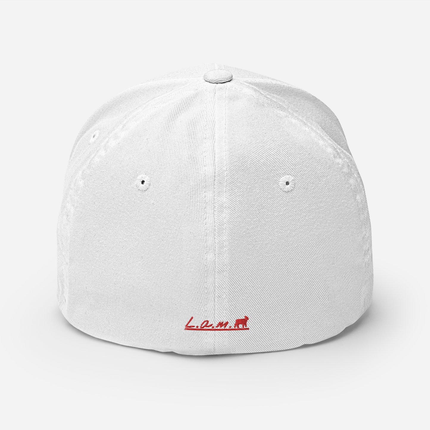 Lamb Structured Twill Cap (ALL COLORS) - Lamb Fashion Store