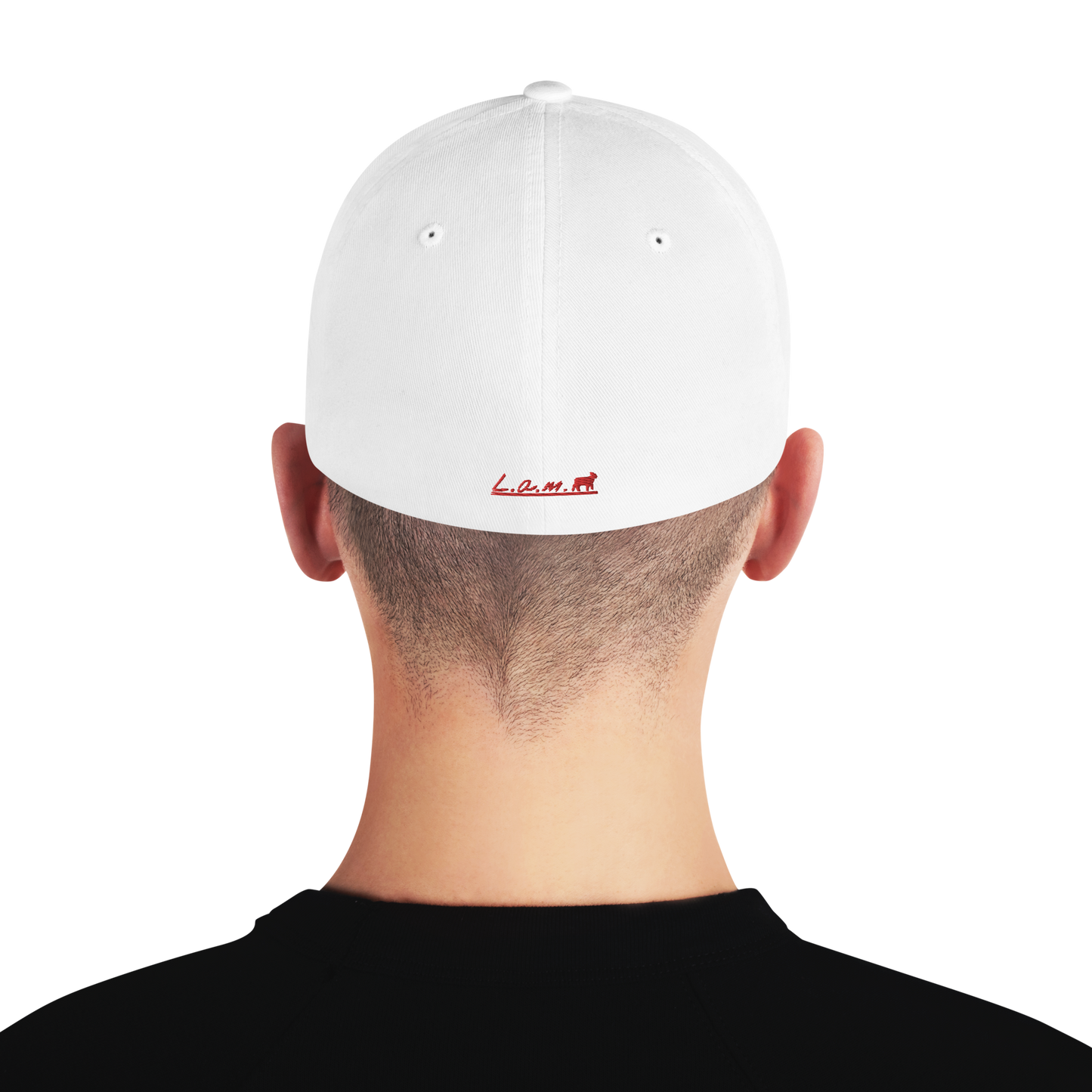 Lamb Structured Twill Cap (ALL COLORS) - Lamb Fashion Store