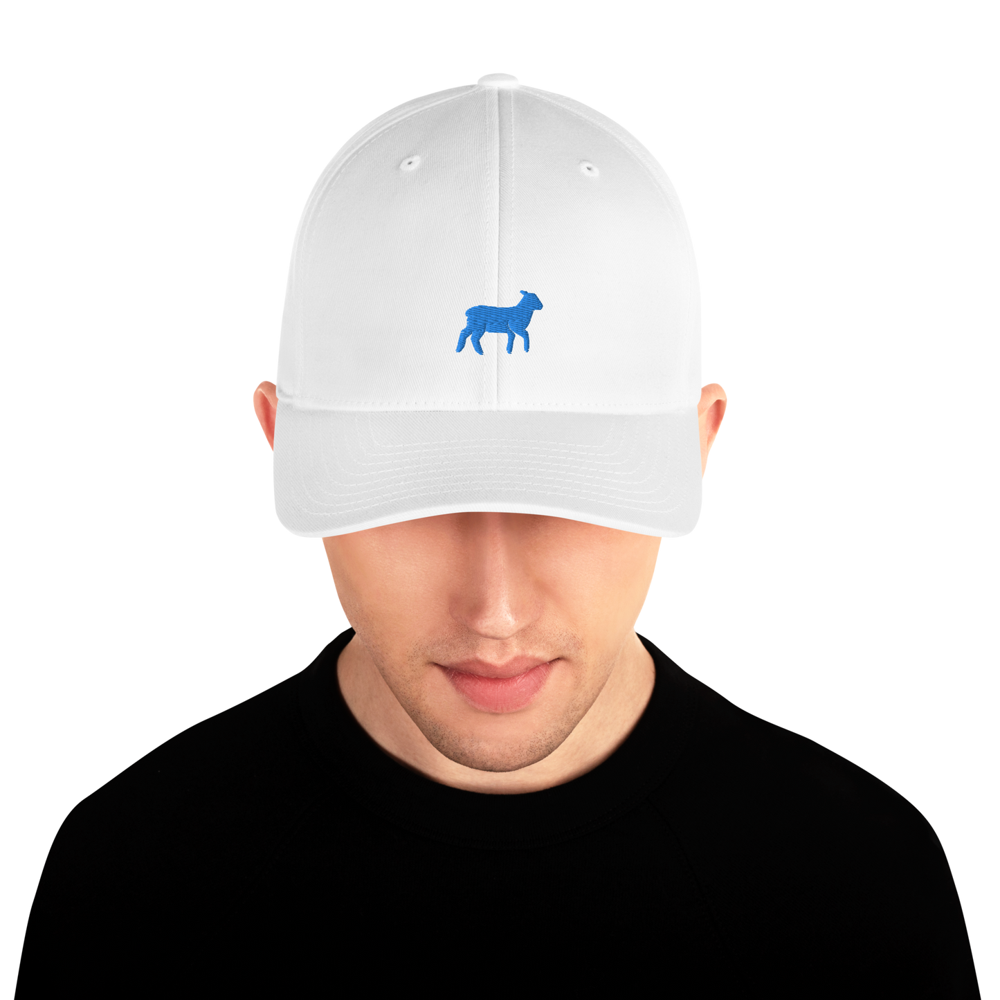 Lamb Structured Twill Cap (ALL COLORS) - Lamb Fashion Store