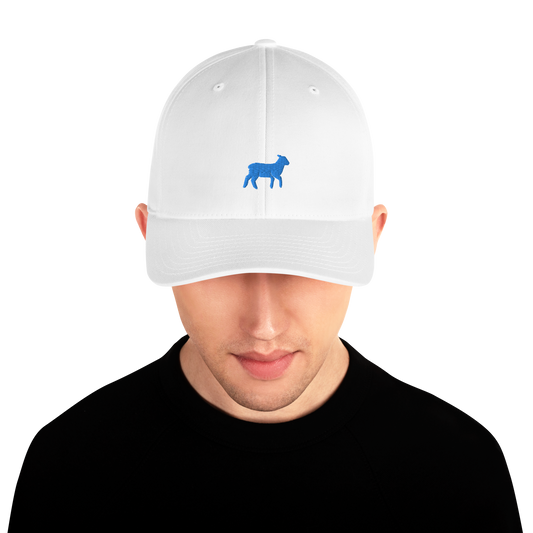 Lamb Structured Twill Cap (ALL COLORS) - Lamb Fashion Store