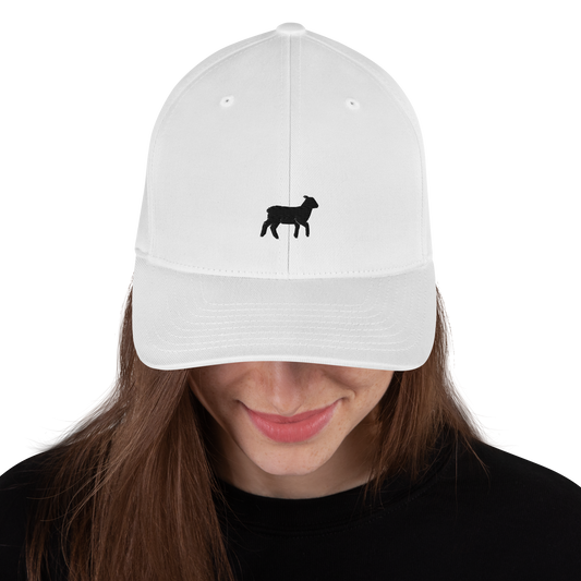 Lamb Structured Twill Cap (ALL COLORS) - Lamb Fashion Store