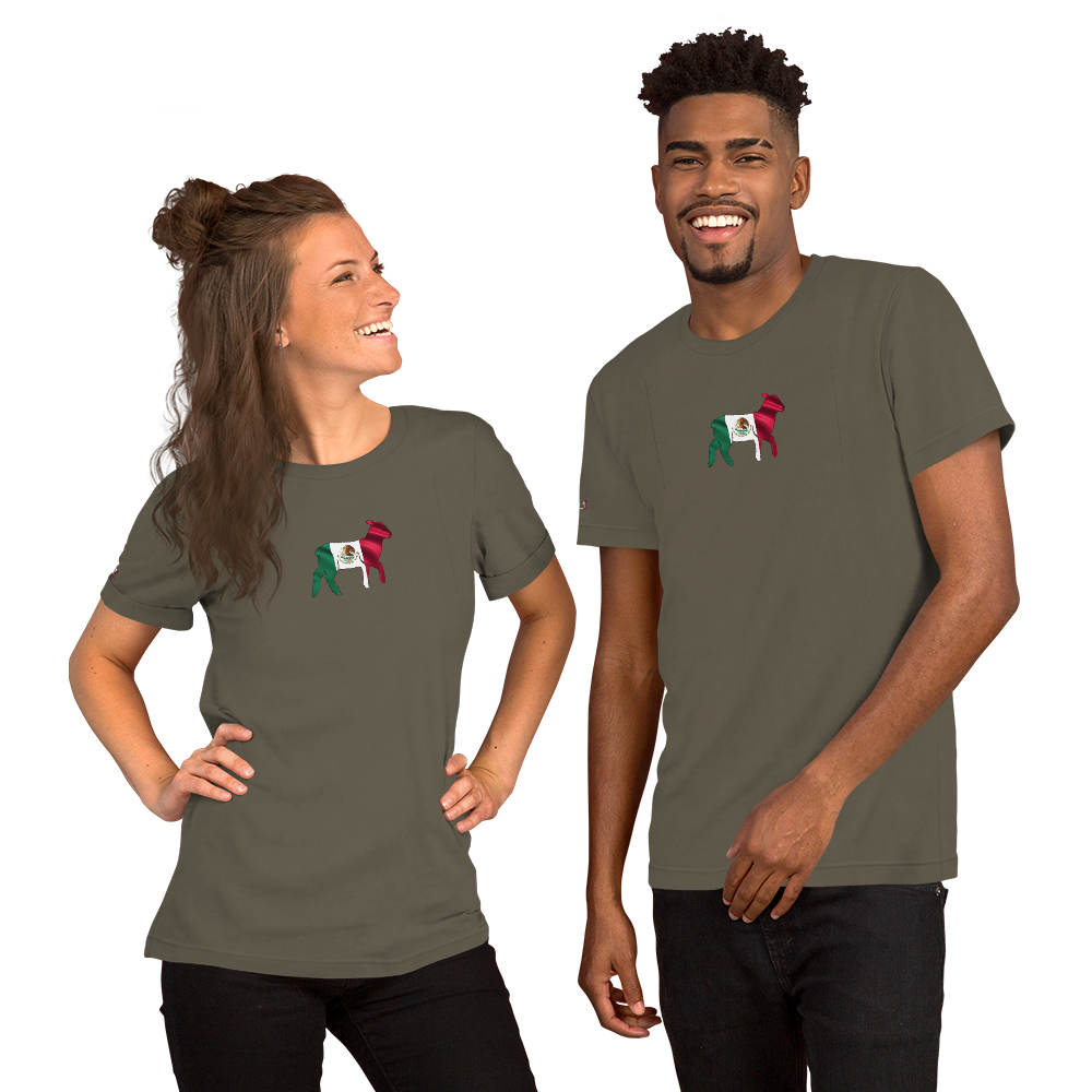 Unisex God & Country Mexico t-shirt