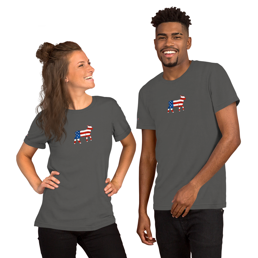 Unisex God & Country America t-shirt