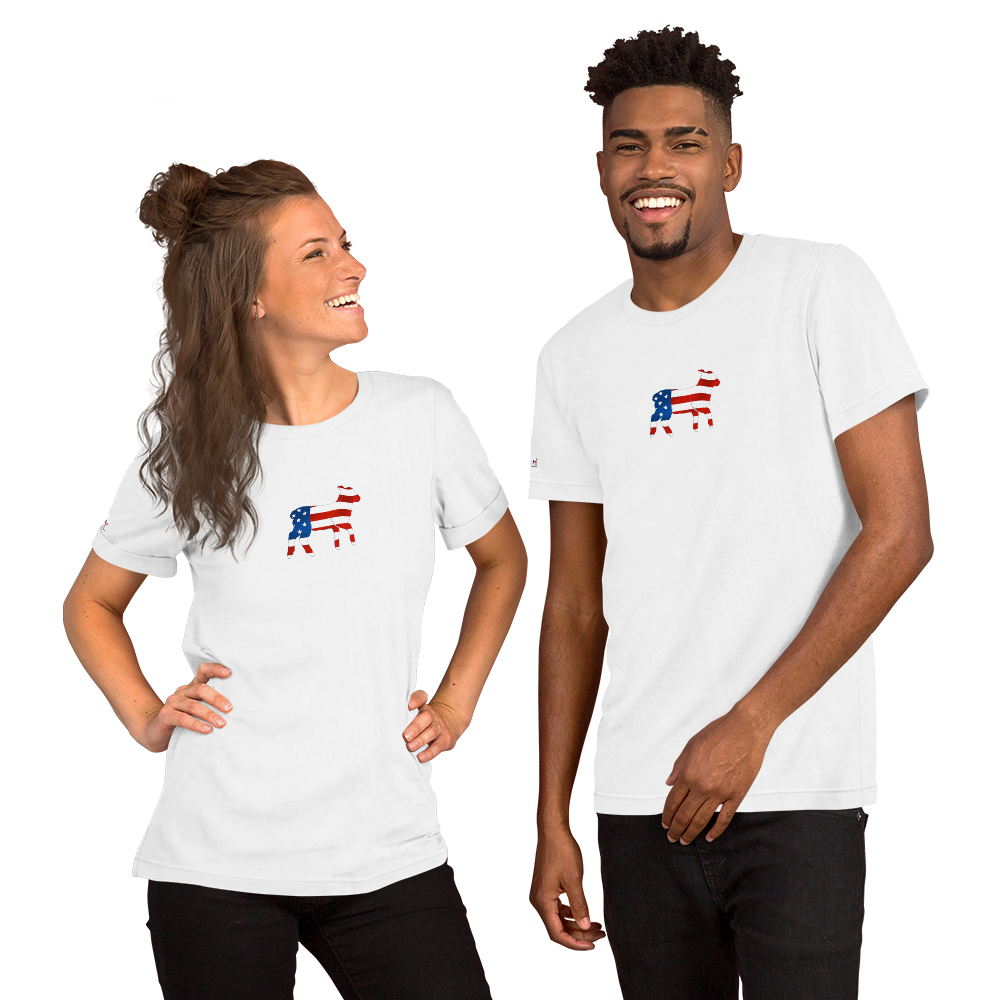 Unisex God & Country America t-shirt