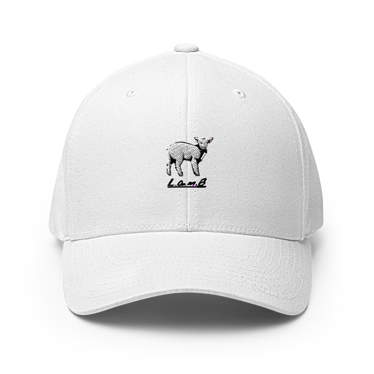 Women's Lamb Structured Twill Cap (Black 3D Puff Embroidery) - Lamb Fashion Store